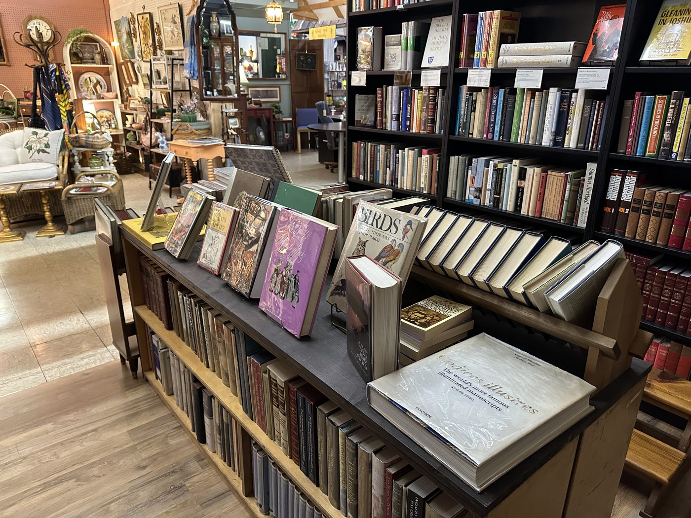 A display table of illustrated and art books at the booth